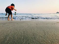 -西涌国际滨海旅游区