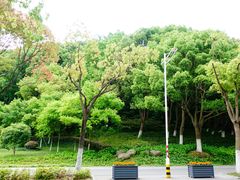 -汤山公园