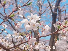 -西北湖绿化广场