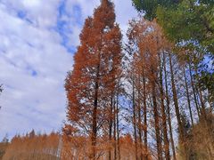 -贵阳市花溪国家城市湿地公园