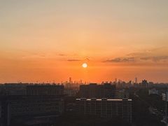 -上海中医药大学附属曙光医院(东部)