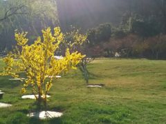 android_upload_pic-北京宽沟会议中心