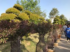 -武汉紫薇都市田园