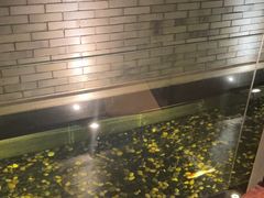 -晶采轩(虹桥路店)