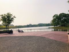 -东郊湿地公园