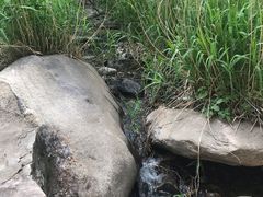 -碓臼峪自然风景区