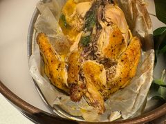 -桂满陇·海市蜃楼·黑金(国金店)