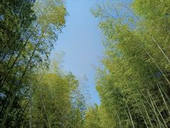 -紫金山索道-售票处