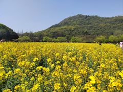 -八卦田遗址公园