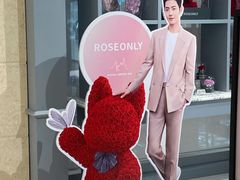 -ROSEONLY诺誓(国际广场购物中心店)