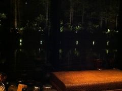 幻想窗外-上海璞麗酒店