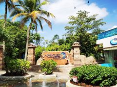 -新加坡水上探险乐园