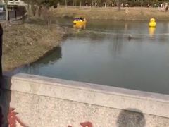 -嘉北郊野公园