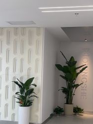 -魔型社烫染店
