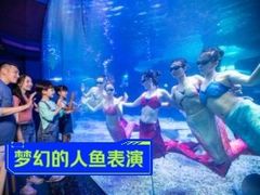 -泉城欧乐堡海洋极地世界
