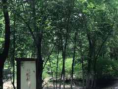 -西青郊野公园