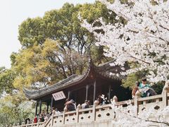 -苏州上方山国家森林公园