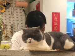 -22cafe