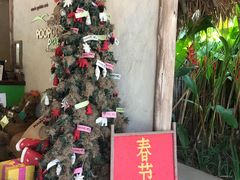 -大象粑粑造纸公园