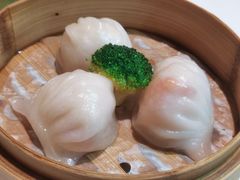 公馆虾饺皇-炳胜公馆(珠江新城店)