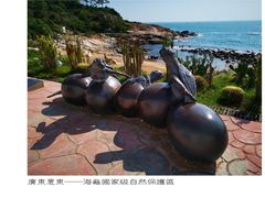 -广东惠东海龟国家级自然保护区