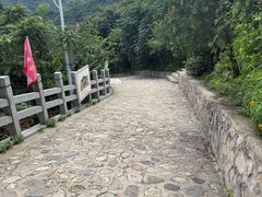 -大岭沟猕猴桃谷风景区