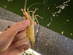 -DGE季风钓虾营地·团建·聚会