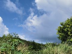 -三亚西岛海洋文化旅游区