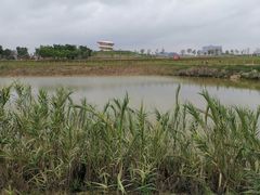 -光明小镇欢乐田园