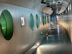 -白鹤梁水下博物馆