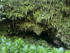 -海口火山口国家地质公园