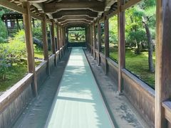 -天龙寺