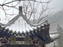 -佛慧山
