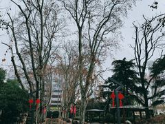 -静安公园(静安寺街道)