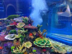 -成都浩海立方海洋公园