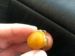 -陈记栗子(长宁路店)