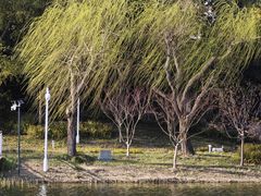 -新江湾城公园