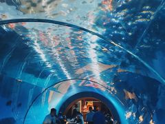 -涛·海底餐厅·美人鱼·自助餐·海底隧道(三亚海棠湾洲际度假酒店)