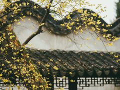 -留园