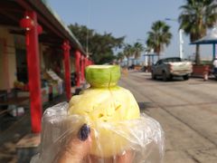 神湾菠萝-南沙十九涌渔人码头-南门