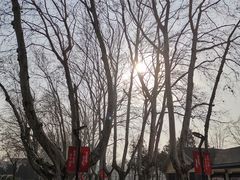 -南京航空航天大学(明故宫校区)