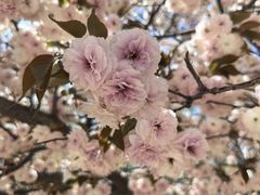 -古柏渡飞黄旅游区