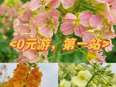 -中国天府农业博览园