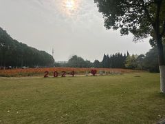 -华东政法大学(松江校区)