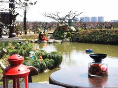 -樂桃源奉贤黄桃种植采摘基地