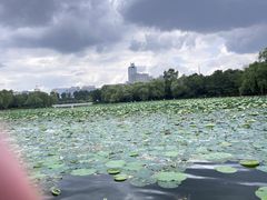 -长春市南湖公园