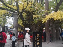 -浮来山风景区