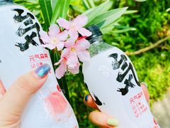 -华南国家植物园-售票处