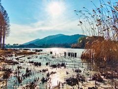 -长广溪湿地公园