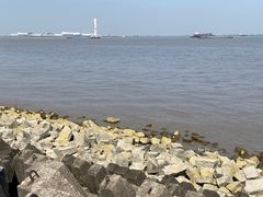-上海滨江森林公园
